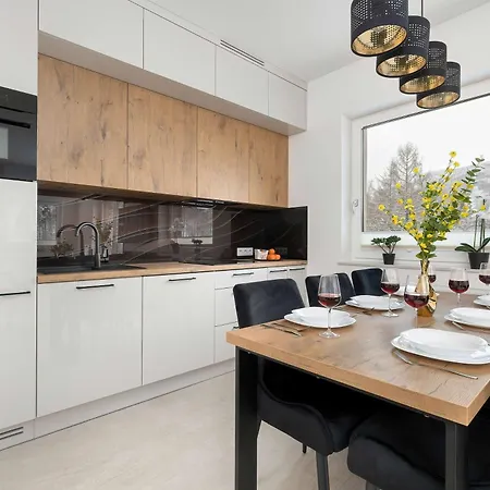 Dwupoziomowy W Wisle Z Widokiem Na Gory, Biurkiem I Klimatyzacja By Renters Wisła