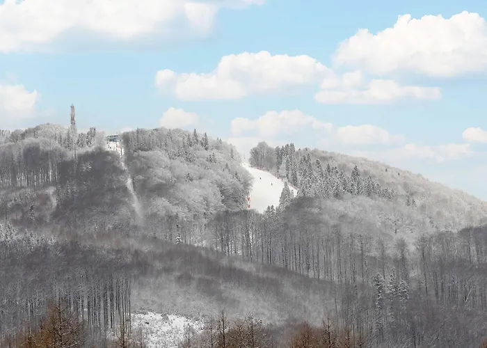 Dwupoziomowy W Wisle Z Widokiem Na Gory, Biurkiem I Klimatyzacja By Renters Wisła